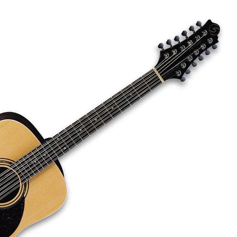 купить Акустическая гитара 12-струнная GREG BENNETT D2-12/N