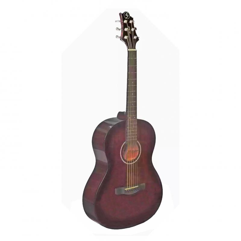 Акустическая гитара GREG BENNETT ST9-1/BS